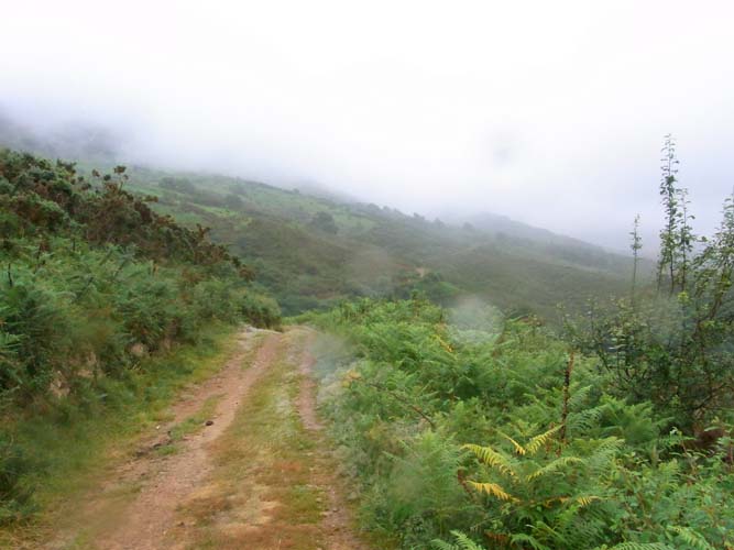 R0015007