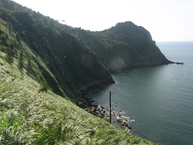 R0015135