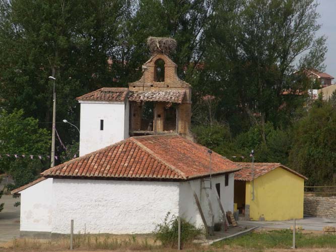 R0016530